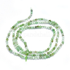 Natural Chrysoprase Beads Strands&nbsp;G-P438-C01-2mm