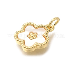 Brass Shell Pendants&nbsp;KK-R002-12G