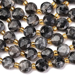 Natural Larvikite Beads Strands&nbsp;G-C116-A30-02
