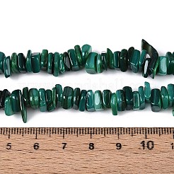 Natural Freshwater Shell Beads Strands&nbsp;SHEL-T020-41