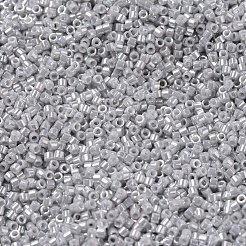 MIYUKI Delica Beads&nbsp;SEED-JP0008-DB0252