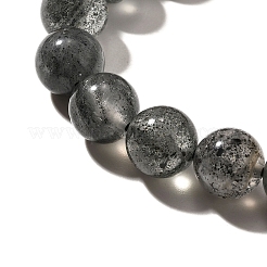 Natural Biotite Beads Strands&nbsp;G-F784-A03-02