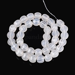 Natural Agate Beads Strands&nbsp;G-T144-50A-01