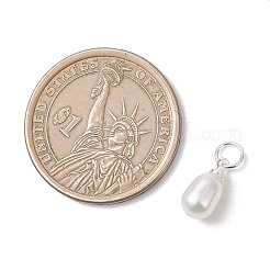 Natural Cultured Freshwater Pearl Rice Charms&nbsp;PALLOY-JF04821