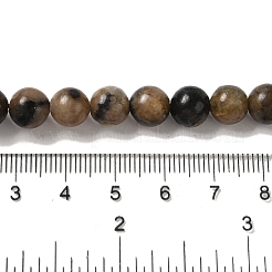 Natural Chiastolite Beads Strands&nbsp;G-Q161-A03-03