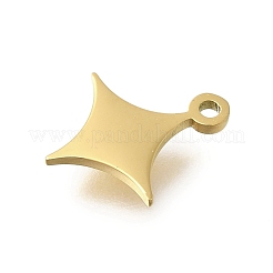 304 Stainless Steel Charms&nbsp;STAS-U027-10G-03