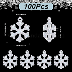 100Pcs Transparent Resin Pendants&nbsp;FIND-SC0010-14