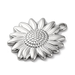 Anti-Tarnish 304 Stainless Steel Pendants&nbsp;STAS-K293-06P