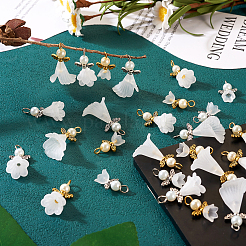 30Pcs 6 Styles Angel Frosted Acrylic Pendants&nbsp;FIND-TA0002-86