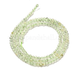 Natural Prehnite Beads Strands&nbsp;G-RM2025-34-2.5mm