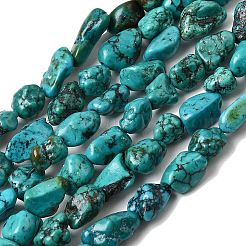 Natural HuBei Turquoise Bead Strands&nbsp;G-H345-A01-11