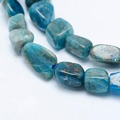 Natural Apatite Beads Strands&nbsp;G-K203-13