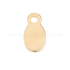 50Pcs 304 Stainless Steel Charms&nbsp;STAS-CJ0001-164G