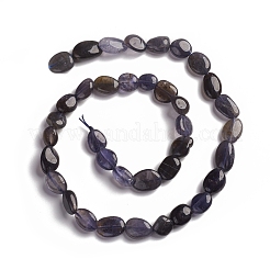 Natural Iolite Beads Strands&nbsp;G-D0002-D74