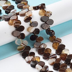 Natural Agate Beads Strands&nbsp;G-G021-04A-04