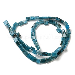 Natural Apatite Beads Strands&nbsp;G-F762-A19-01