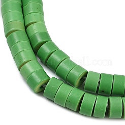 Synthetic Turquoise Beads Strands&nbsp;G-V003-A01-04