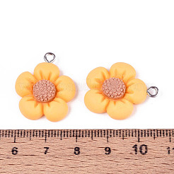 Resin Pendants&nbsp;RESI-C002-09