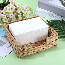 Raffia Woven Tissue Box&nbsp;AJEW-WH20011-01