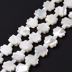 Natural Trochid Shell Beads Strands&nbsp;SSHEL-G023-09B