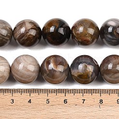 Natural Petrified Wood Beads Strands&nbsp;G-L648-A03-16mm-02