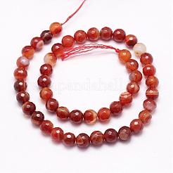 Faceted Natural Agate Beads Strands&nbsp;G-F344-39-6mm