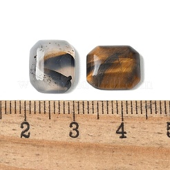 Natural Picture Jasper/Tiger Eye/Red Jasper/Agate Cabochons&nbsp;G-Z075-02