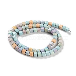Natural Rainbow Alashan Agate Beads Strands&nbsp;G-NH0022-J01-01