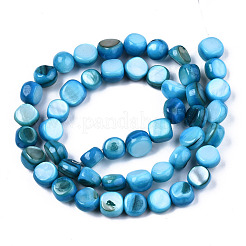 Natural Freshwater Shell Beads Strands&nbsp;SHEL-S276-110B-03