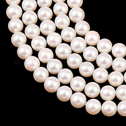 Electroplated Shell Pearl Beads Strands&nbsp;BSHE-C011-01A
