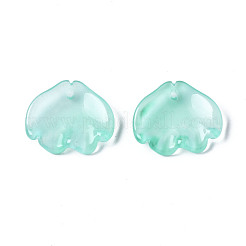 Transparent Spray Painted Glass Pendants&nbsp;GGLA-S054-014E-02