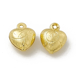 Rack Plating Brass Charms&nbsp;KK-C007-10G