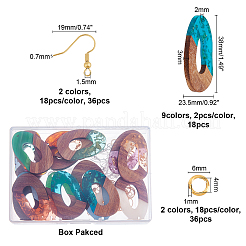 DIY Dangle Earring Making Kits&nbsp;DIY-OC0006-24