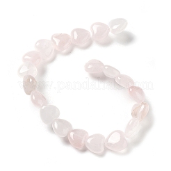 Natural Rose Quartz Beads Strands&nbsp;G-P528-C04-01