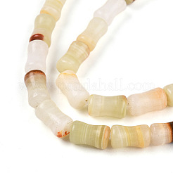 Natural Green Banded Calcite(Afghan Jade) Beads Strands&nbsp;G-T140-87