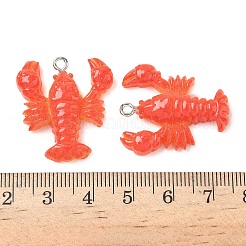Resin Pendants&nbsp;RESI-F060-01A