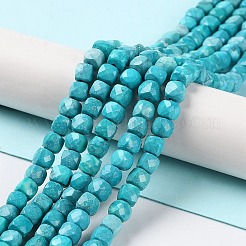 Natural Howlite Beads Strands&nbsp;G-G001-B01-01