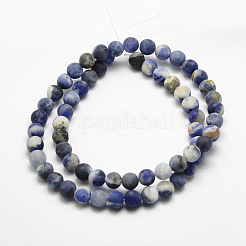 Natural Sodalite Beads Strands&nbsp;G-J364-01-4mm