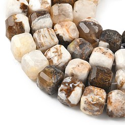 Natural Petrified Wood Beads Strands&nbsp;G-C267-A06