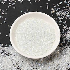 Transparent Electroplate Crushed Glass Craft&nbsp;GLAA-F123-02