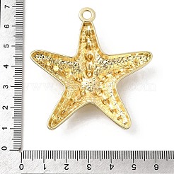 Alloy Big Pendants&nbsp;X-FIND-H055-13G