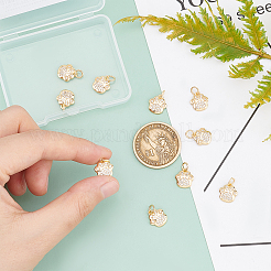 10Pcs Brass Micro Pave Clear Cubic Zirconia Charms&nbsp;KK-FH0003-23