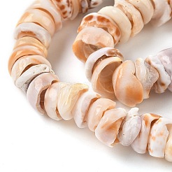Natural Shell Beads Strands&nbsp;SSHEL-F304-01