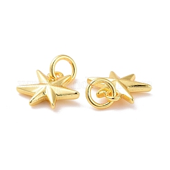 Brass Charms&nbsp;KK-G418-29G