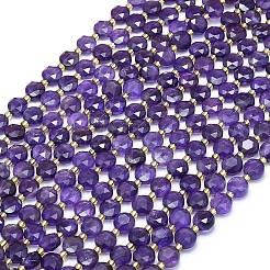 Natural Amethyst Beads Strands&nbsp;G-C116-A46-02A