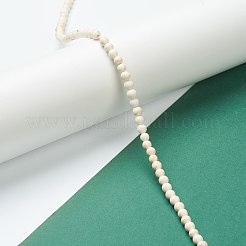Nrtutal Magnesite Beads Strands&nbsp;G-L575-01A