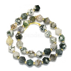 Natural Tree Agate Beads Strands&nbsp;G-I376-A36-01