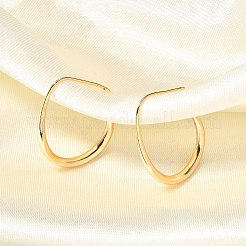 Brass Dangle Earrings&nbsp;X-KK-T056-110G-NF