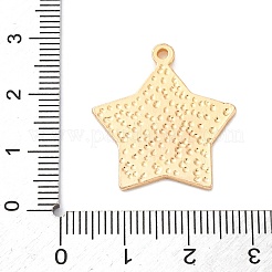 Alloy Enamel Pendants&nbsp;ENAM-F152-05G-05
