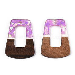 Transparent Resin & Walnut Wood Pendants&nbsp;RESI-N039-65A